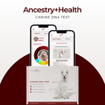 Load image into Gallery viewer, Health Risks & Conditions and Breed Composition Analysis