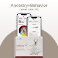 Load image into Gallery viewer, Behavioral Traits & Breed Composition Analysis